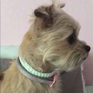 Meet your Posher, Leann